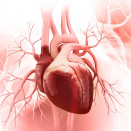 Doença hipertrófica do coração